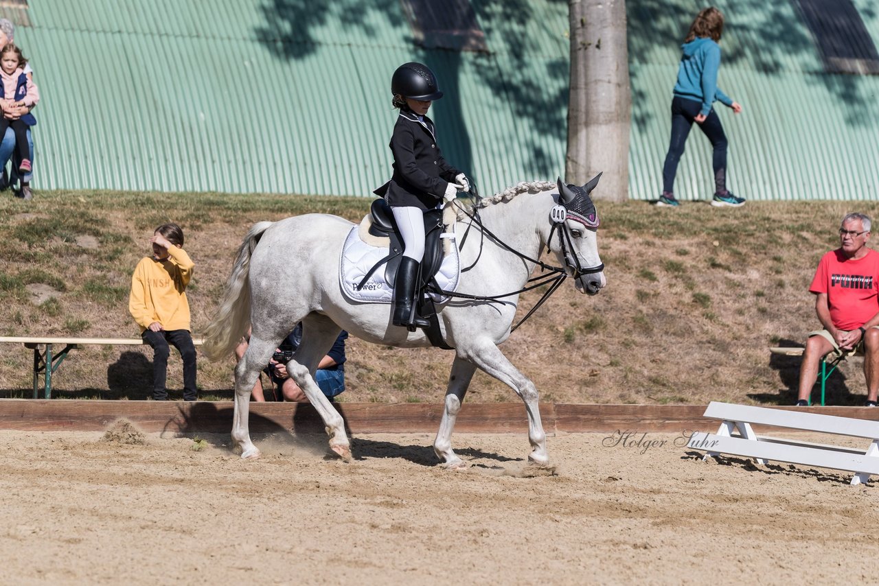 Bild 34 - Pony Akademie Turnier